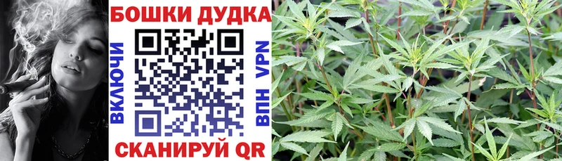 Как найти наркотики Козельск APVP  Меф мяу мяу  Псилоцибиновые грибы  Амфетамин  Бошки Шишки  ГАШИШ 