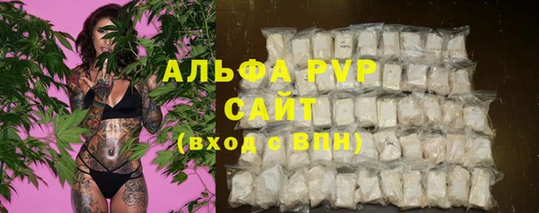 гидра Балахна